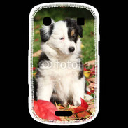 Coque Blackberry Bold 9900 Adorable chiot Border collie