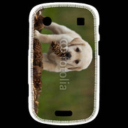 Coque Blackberry Bold 9900 Chiot labrador avec pomme de pin