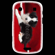 Coque Blackberry Bold 9900 Chiot noir et blanc 5