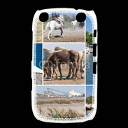 Coque Blackberry Curve 9320 La Camargue