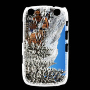 Coque Blackberry Curve 9320 Chalets Grand Bornand