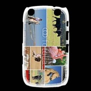 Coque Blackberry Curve 9320 Beauté de la camargue