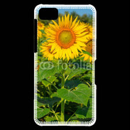 Coque Blackberry Z10 Champs de Tournesol