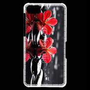 Coque Blackberry Z10 Spa et nature 5