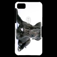 Coque Blackberry Z10 Dogue allemand noir