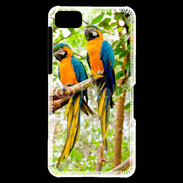 Coque Blackberry Z10 Duo de perroquets
