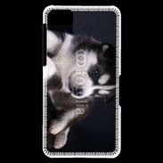 Coque Blackberry Z10 Chiot Husky de Sibérie