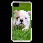 Coque Blackberry Z10 Petit Bulldog anglais