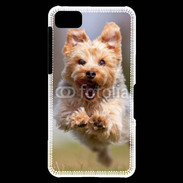 Coque Blackberry Z10 Yorkshire terrier 6