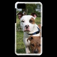 Coque Blackberry Z10 Chien Staffordshire