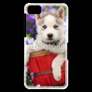 Coque Blackberry Z10 Portrait chiot Husky de Sibérie 1