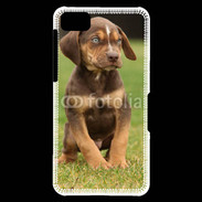 Coque Blackberry Z10 Chiot marron 2