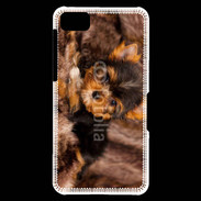Coque Blackberry Z10 Chiot Yorkshire 10