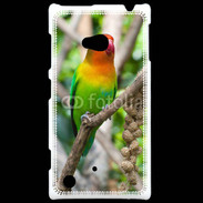 Coque Nokia Lumia 720 Oiseau Inséparable