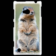 Coque Nokia Lumia 720 Marmotte 2