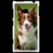 Coque Nokia Lumia 720 Chien Colley marron et blanc