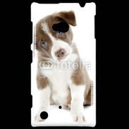 Coque Nokia Lumia 720 Chiot Colley marron et blanc