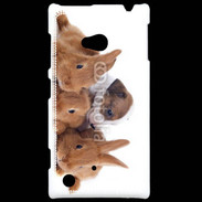 Coque Nokia Lumia 720 Gardien de lapins