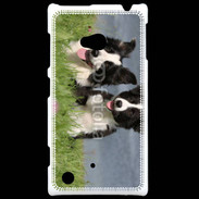 Coque Nokia Lumia 720 Chien Border Collie noir et blanc