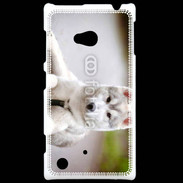 Coque Nokia Lumia 720 Chien Husky de Sibérie 2