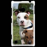 Coque Nokia Lumia 720 Chien Staffordshire