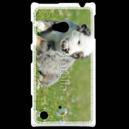 Coque Nokia Lumia 720 Chiot blanc et gris 1