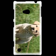 Coque Nokia Lumia 720 Mignon petit labrador