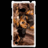 Coque Nokia Lumia 720 Chiot Yorkshire 10