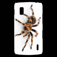 Coque LG Nexus 4 Araignée tarentule