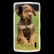 Coque LG Nexus 4 Chiot marron 2