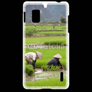 Coque LG Optimus G Rizière au Vietnam