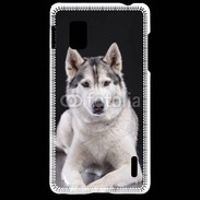 Coque LG Optimus G Chien Husky de Sibérie