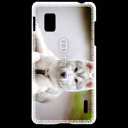 Coque LG Optimus G Chien Husky de Sibérie 2