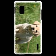 Coque LG Optimus G Mignon petit labrador