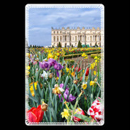 Etui carte bancaire Jardin du château de Versailles