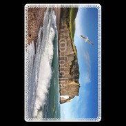 Etui carte bancaire Falaises Etretat