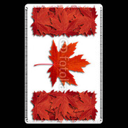 Etui carte bancaire Canada en feuilles