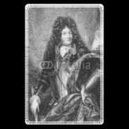 Etui carte bancaire Le roi de France Louis XIV