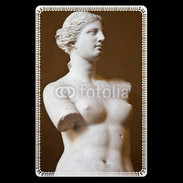 Etui carte bancaire Venus de Milo