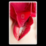 Etui carte bancaire Rose et bouche