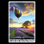 Etui carte bancaire Montgolfière et lavande 