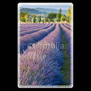 Etui carte bancaire La lavande en Provence