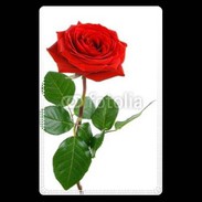 Etui carte bancaire Rose rouge 2
