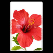 Etui carte bancaire Hibiscus rouge