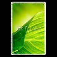 Etui carte bancaire Feuille écologie