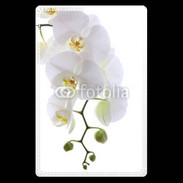 Etui carte bancaire Orchidée blanche