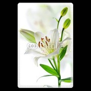 Etui carte bancaire Fleurs de Lys blanc