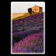 Etui carte bancaire Champs de lavande 3