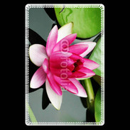 Etui carte bancaire Fleur de nénuphar