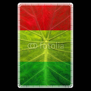 Etui carte bancaire Feuille rasta